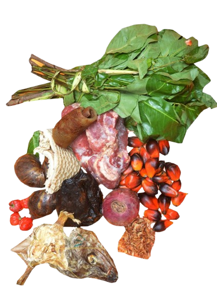 Ogbono